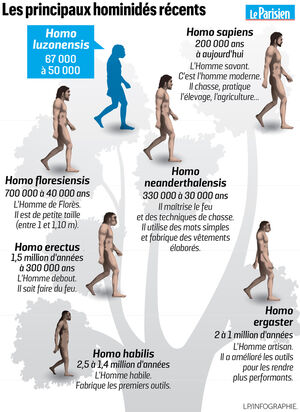 Decouverte De L Homo Luzonensis Nouvelle Espece Humaine Cousine De L Homo Sapiens Le Parisien