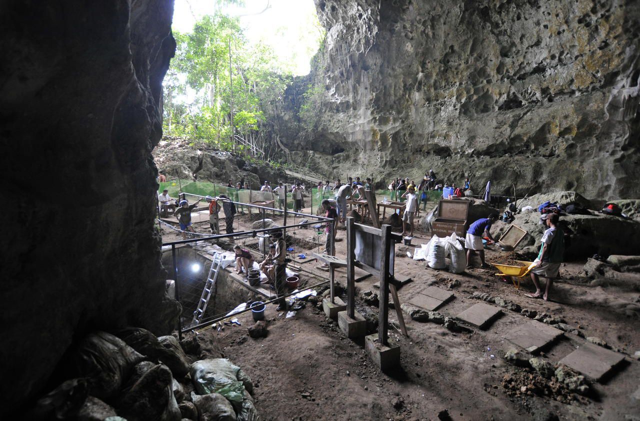 Decouverte De L Homo Luzonensis Nouvelle Espece Humaine Cousine De L Homo Sapiens Le Parisien