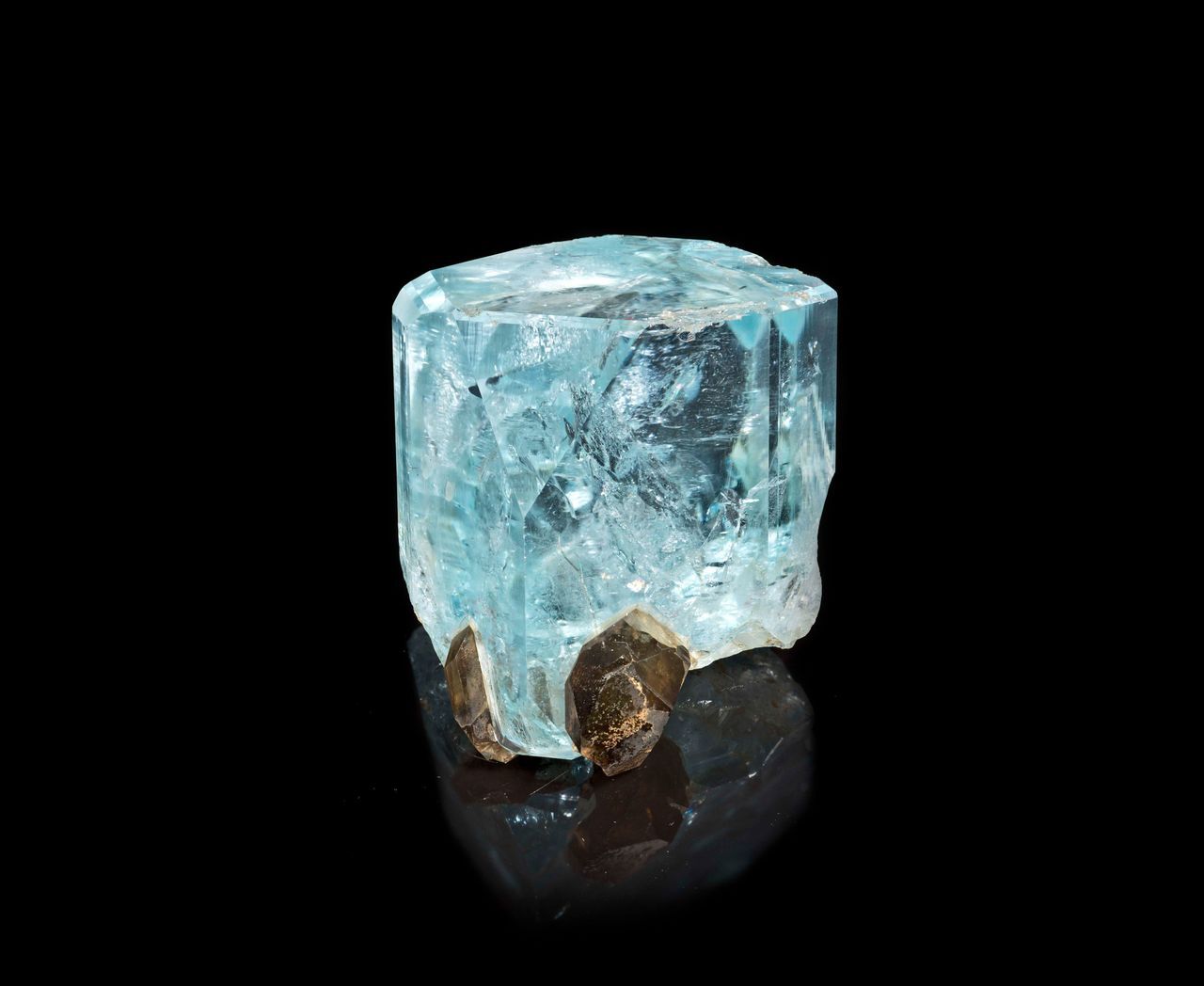 «Pierres précieuses» : or et diamants scintillent au Muséum d'histoire  naturelle - Le Parisien