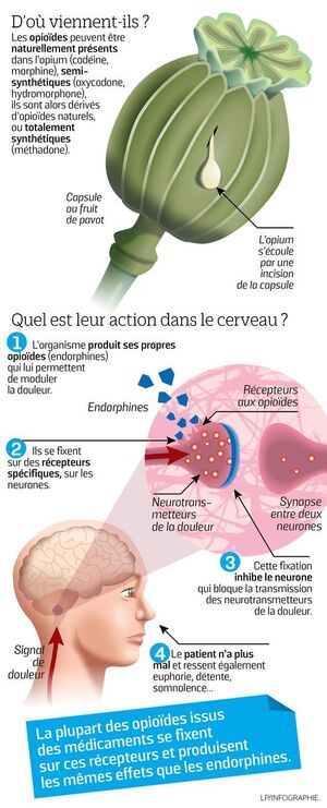 Nucynta acheter sans ordonnance