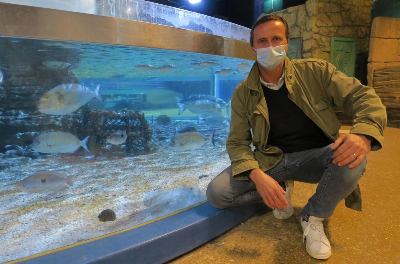 VIDEO - Trois bébés tortues sont arrivés au centre de soins de l'Aquarium  de La Rochelle - France Bleu