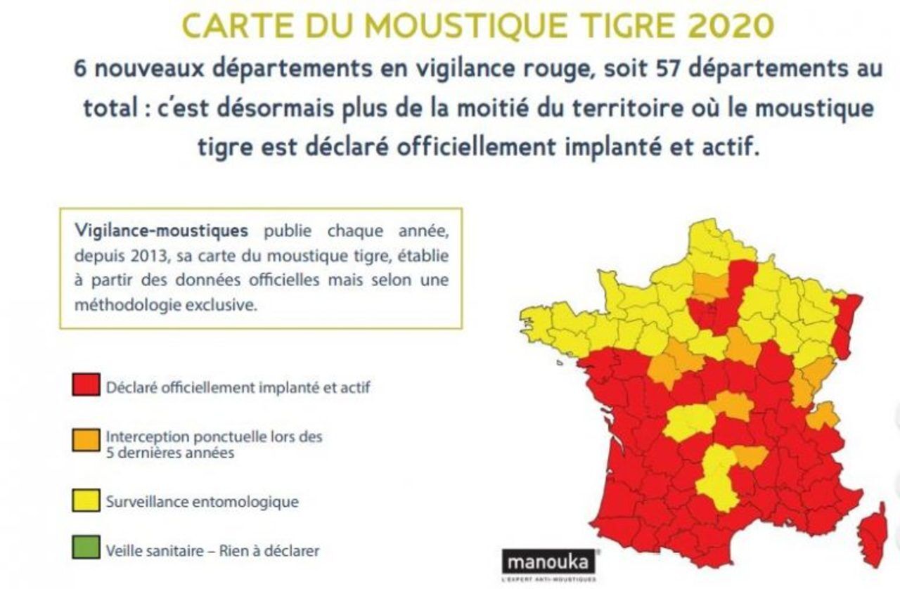 Le Moustique Tigre Desormais Implante Dans Plus De La Moitie Des Departements Le Parisien