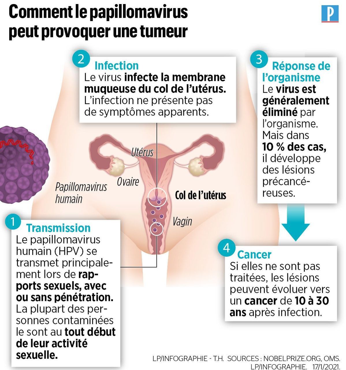 nyom papillomavirus frottis nemi szemölcsök kezelése a méhben