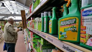 Glyphosate : le point sur ce désherbant qui fait polémique