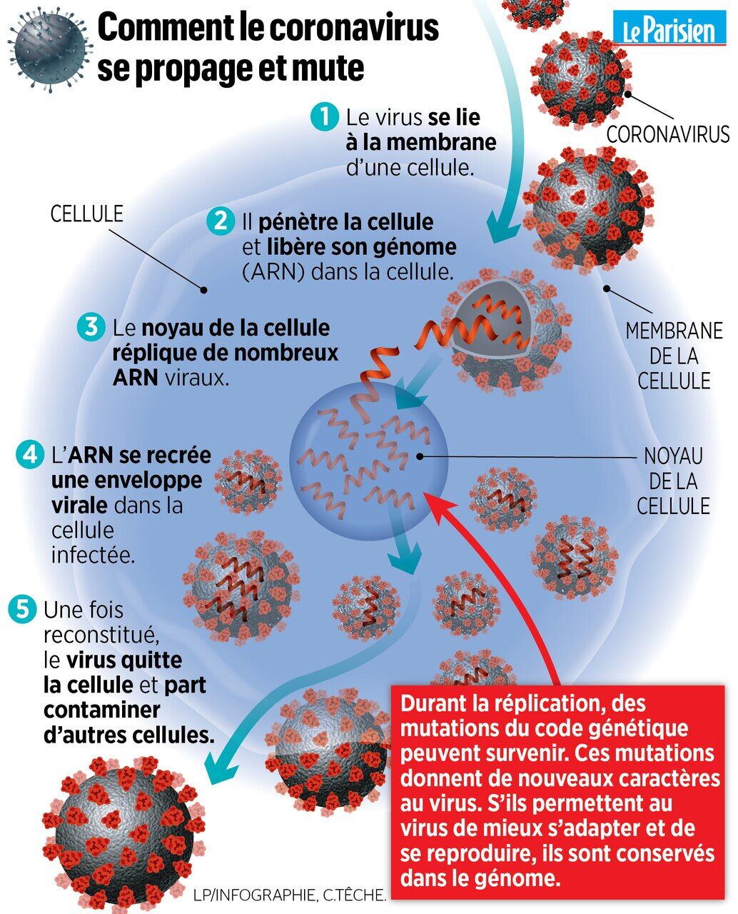 covid 2019 cinq minutes pour comprendre l enjeu de la mutation du virus le parisien