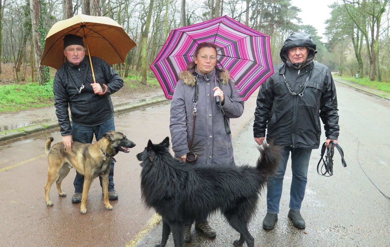 Psychose aux chiens empoisonn s au bois de Boulogne Paris Le